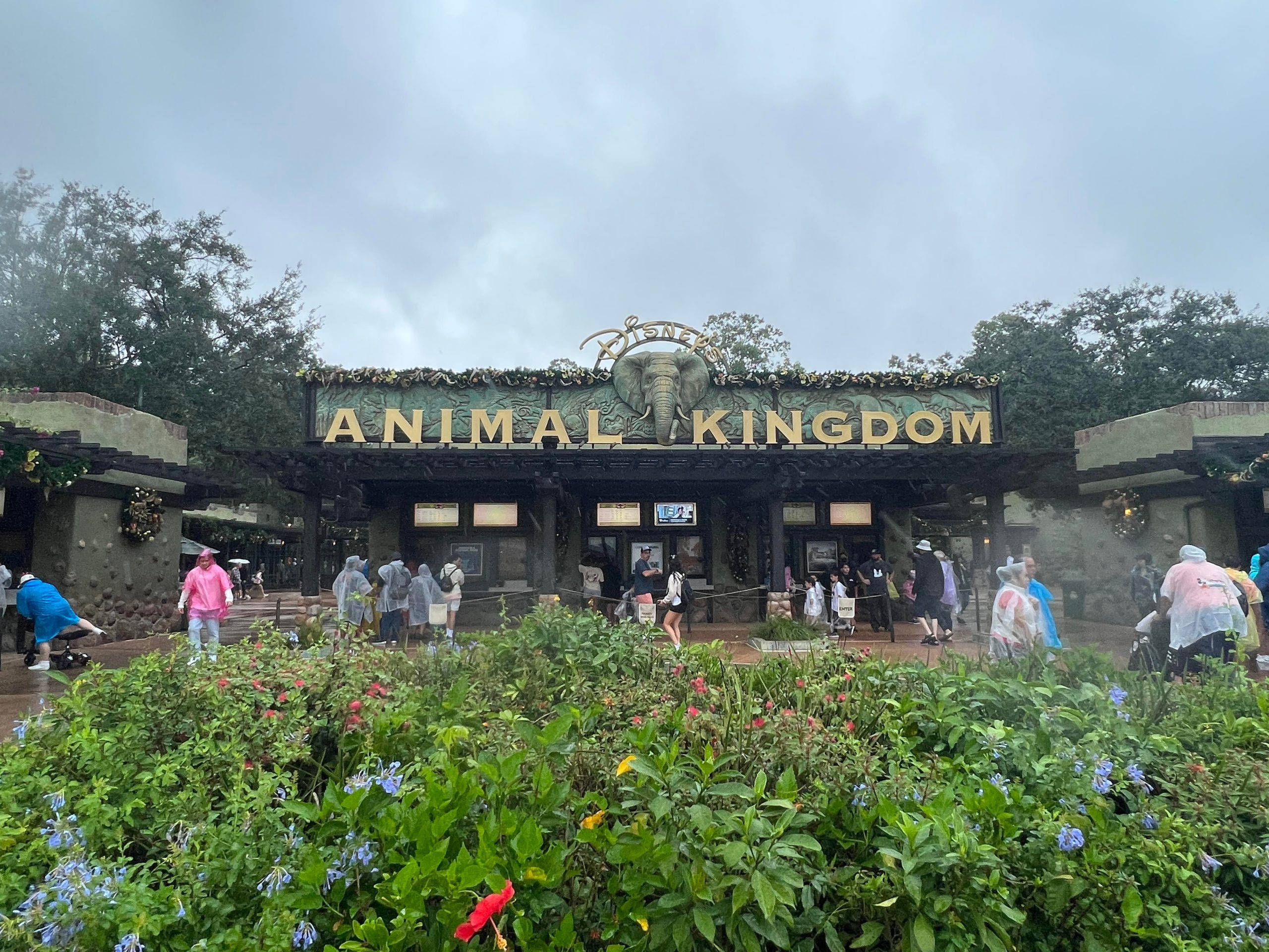 Animal Kingdom Christmas Decor