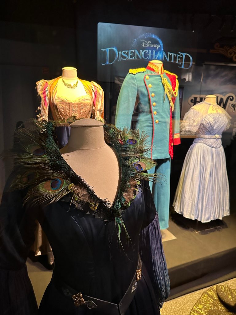 Disenchanted Costumes