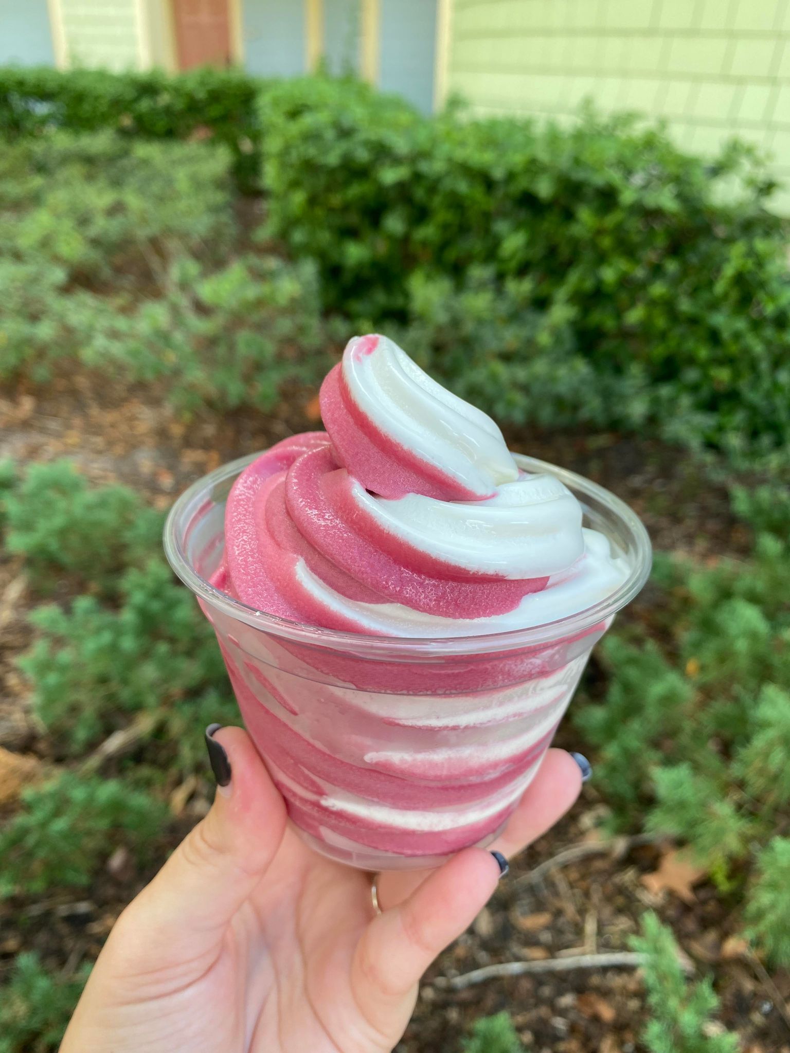 Cherry Dole Whip at Saratoga Springs