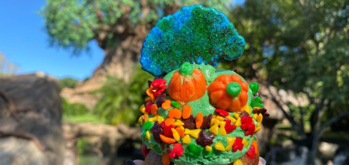 Autumn Cupcake NOW at Flame Tree Barbecue at Animal Kingdom 