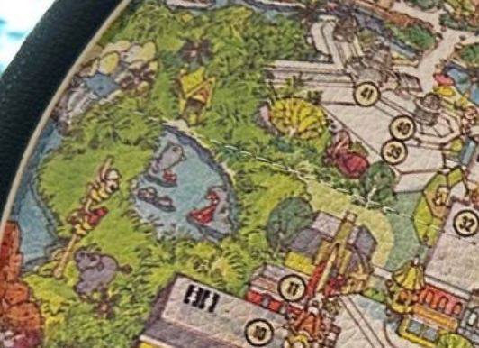 50th Anniversary Magic Kingdom MapBag