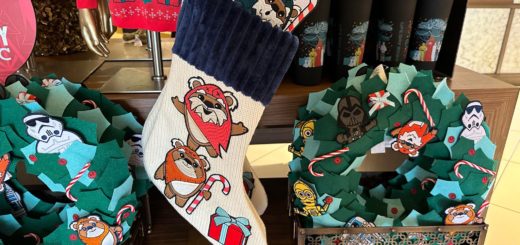 ewok stocking