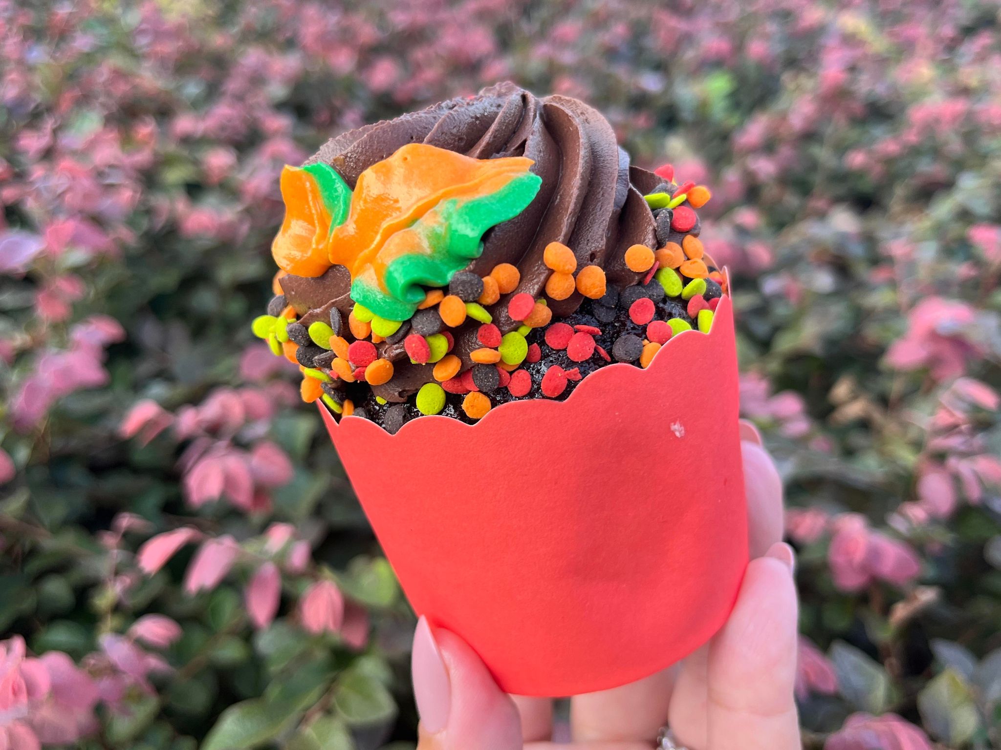 plant based fall cupcake