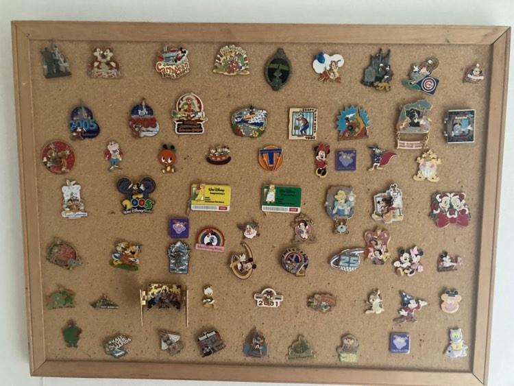 Pin collection