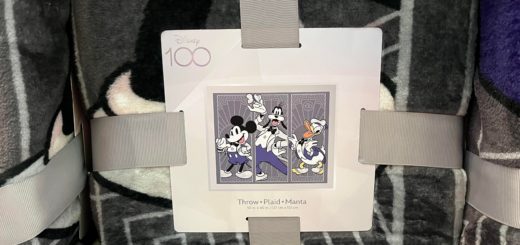 Disney100 Blanket Feature