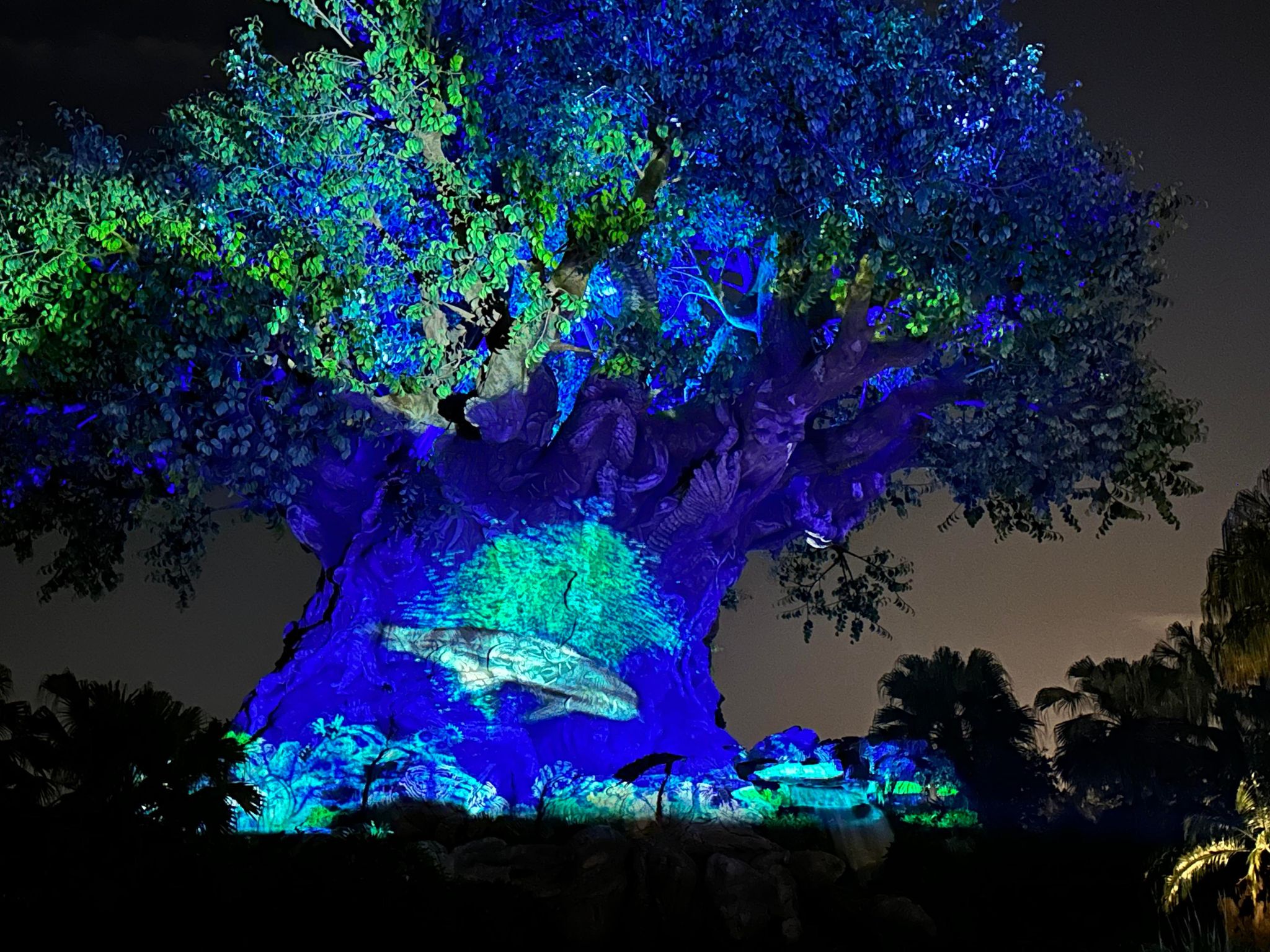the tree of life movie creation