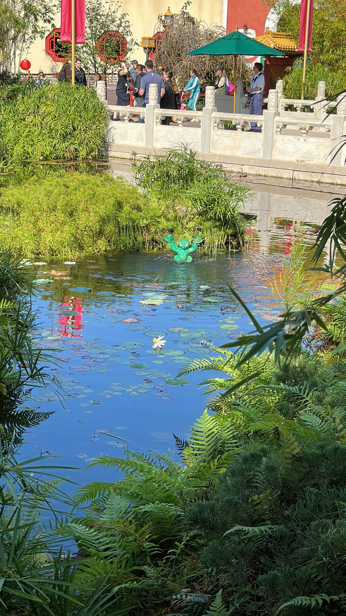 China pond