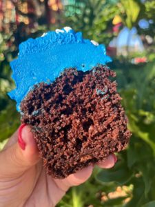 plant based cupcake