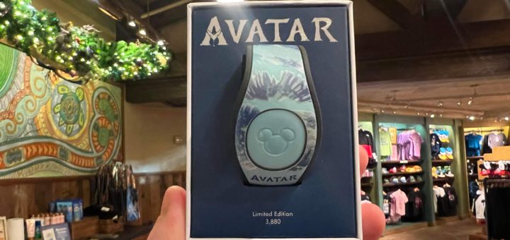 Avatar magicband
