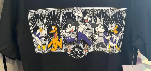 Disney 100 shirt