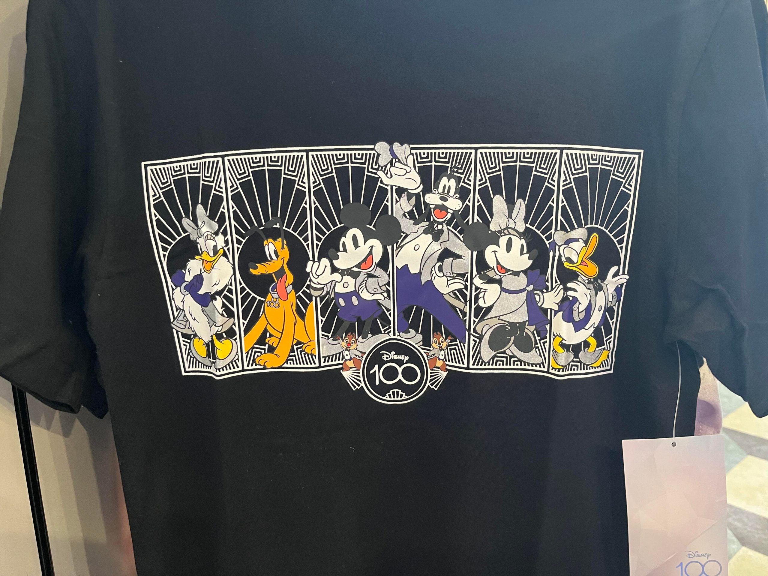 Chip And Dale Shirt, Disney 100 Years Of Wonder Shirt, Doubl
