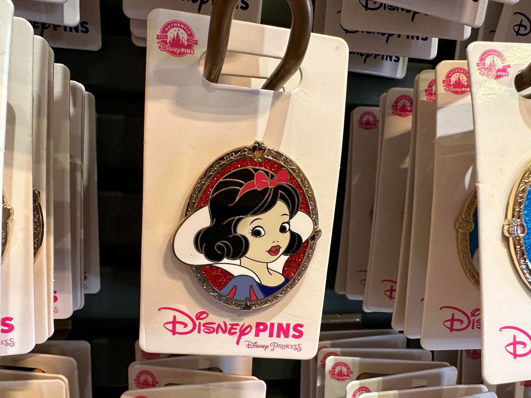 Finally got a pin book, so I don't look like a complete rookie when trading  at the parks! How are you all displaying your pins, while trading at the  parks? : r/DisneyPinSwap