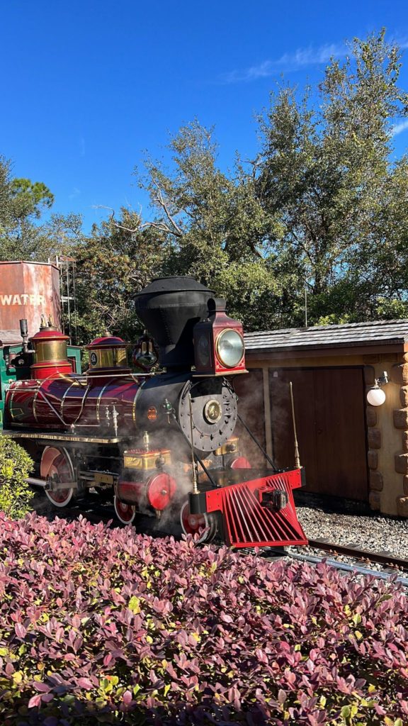 VIDEO: Walt Disney World Railroad Testing In View of Guests at the Magic  Kingdom - WDW News Today
