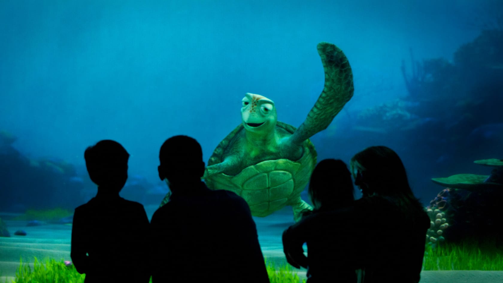 Turtle Talk the Living Seas