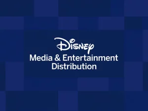 Disney Media and Entertainment Distribution