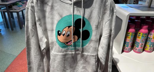 Classic Mickey hoodie