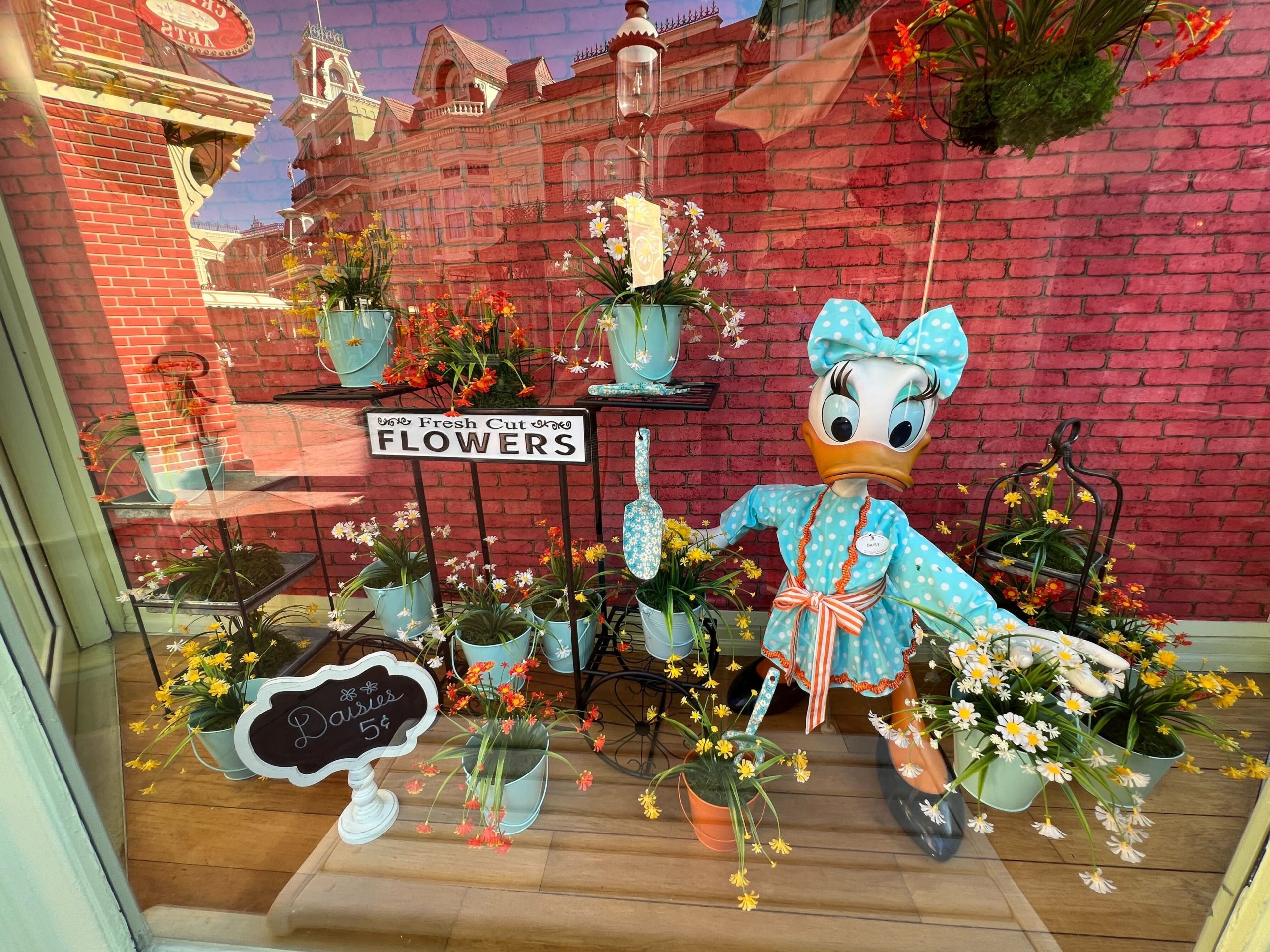 New Daisy Flower Shop Display Arrives on Main Street USA
