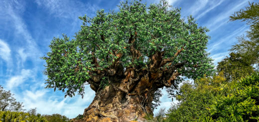 Disney's Animal Kingdom tree of life