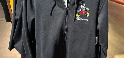 Black hoodie Disney World