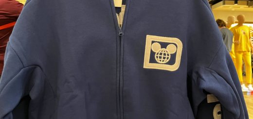 Navy Blue Walt Disney World hoodie