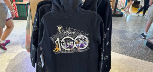 Disney100 hoodie