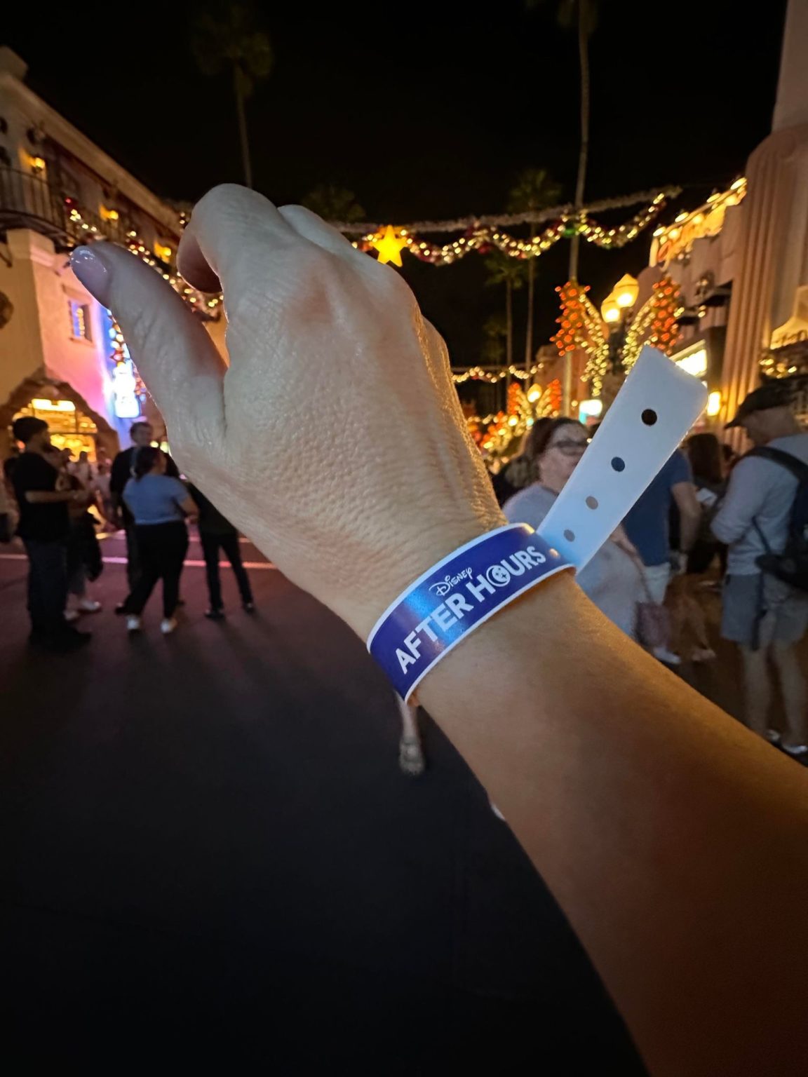Long Lines Kick Off the First Hollywood Studios After Hours