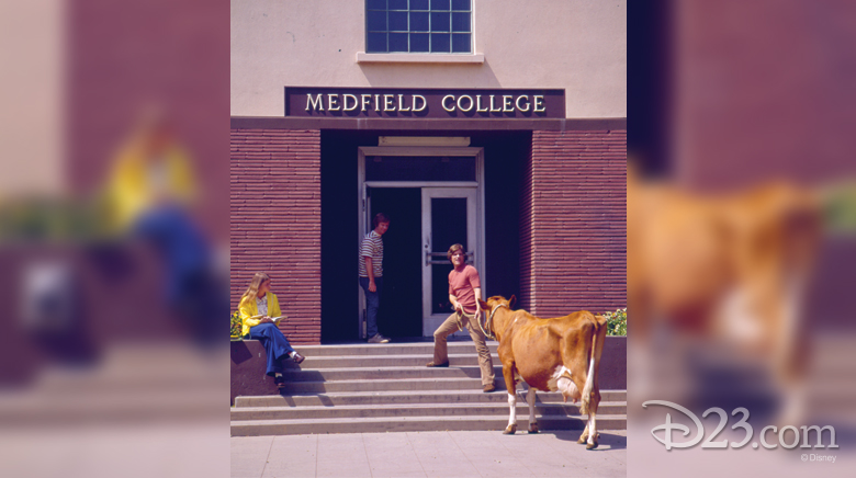 Medfield College