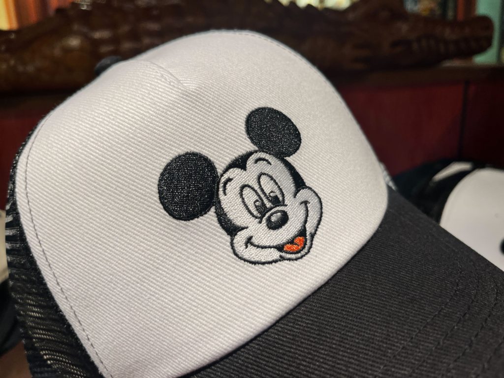 Mickey hat zoom