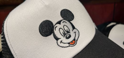 Mickey hat zoom