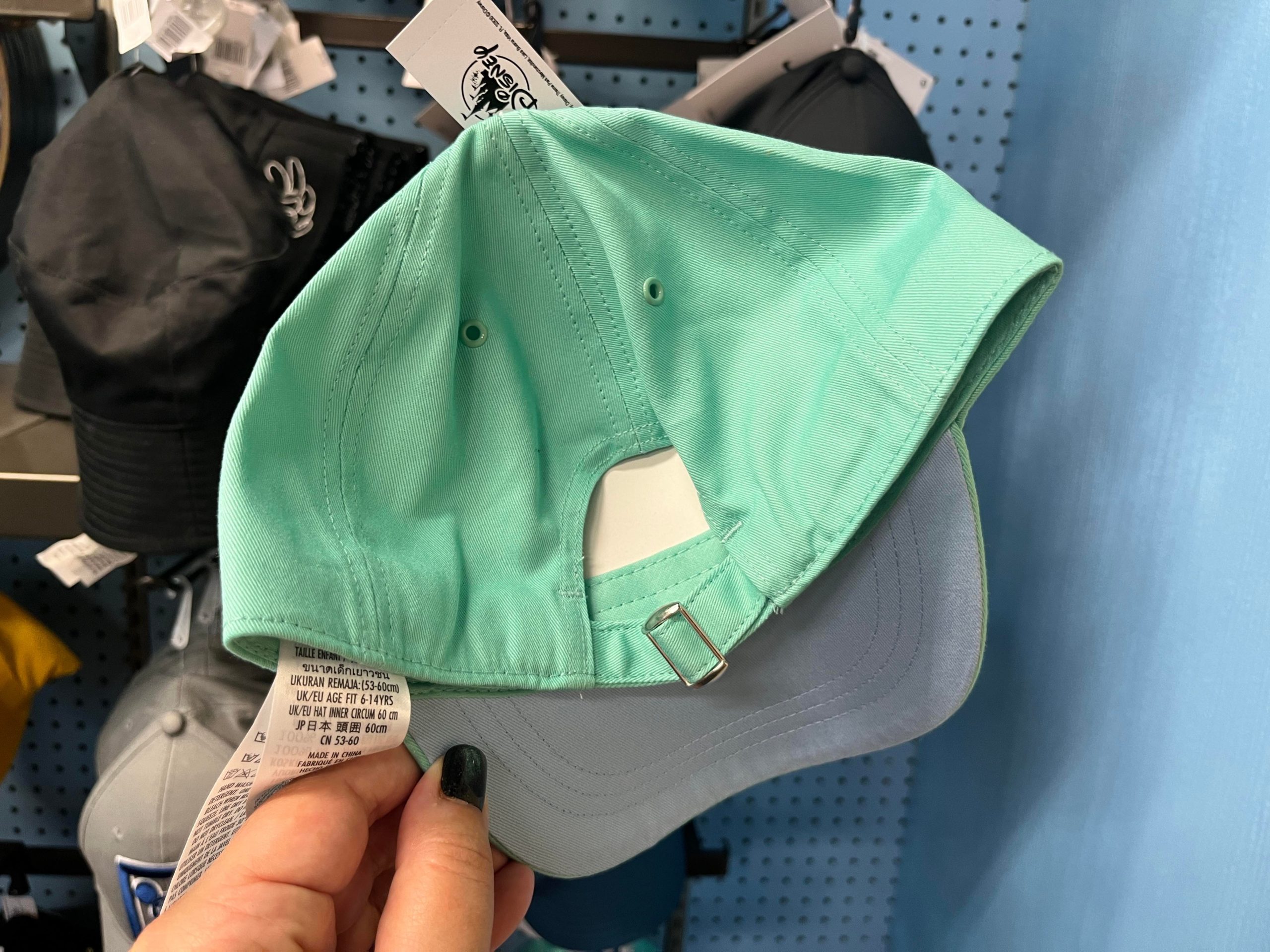 Mickey Teal Hat back