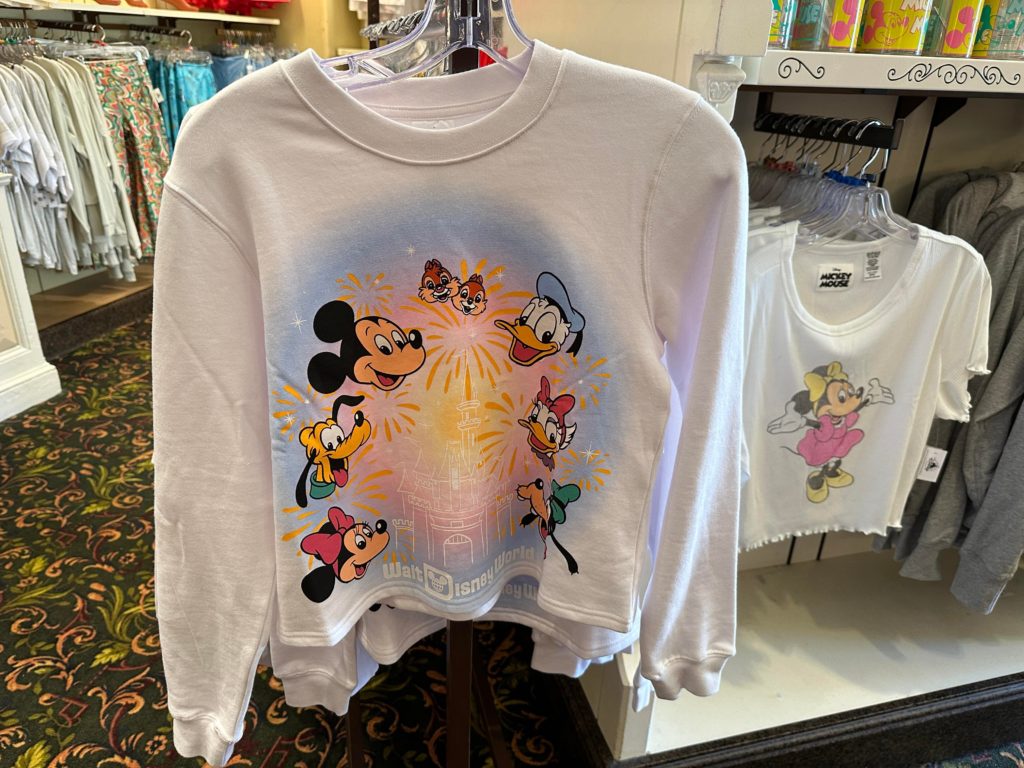 Mickey and Friends sweater