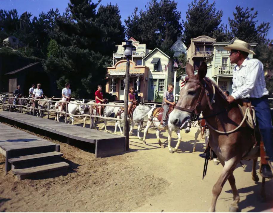 Disneyland Pack Mule ride