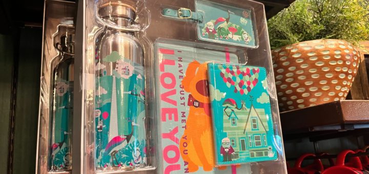 Pixar Up Water Bottle Journal Travel Set