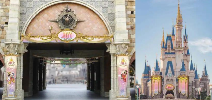 Tokyo Disney 40th Anniversary