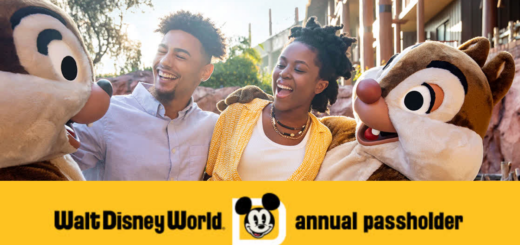 WDW Annual Passholder Discount
