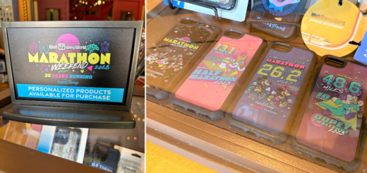Walt Disney World Marathon Personalized Cell Phone Cases