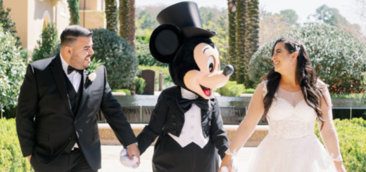 Disney Weddingss