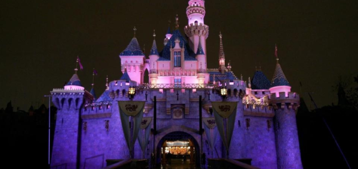 Sleeping Beauty Castle at Night