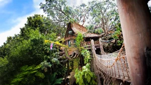 Tarzan’s Treehouse