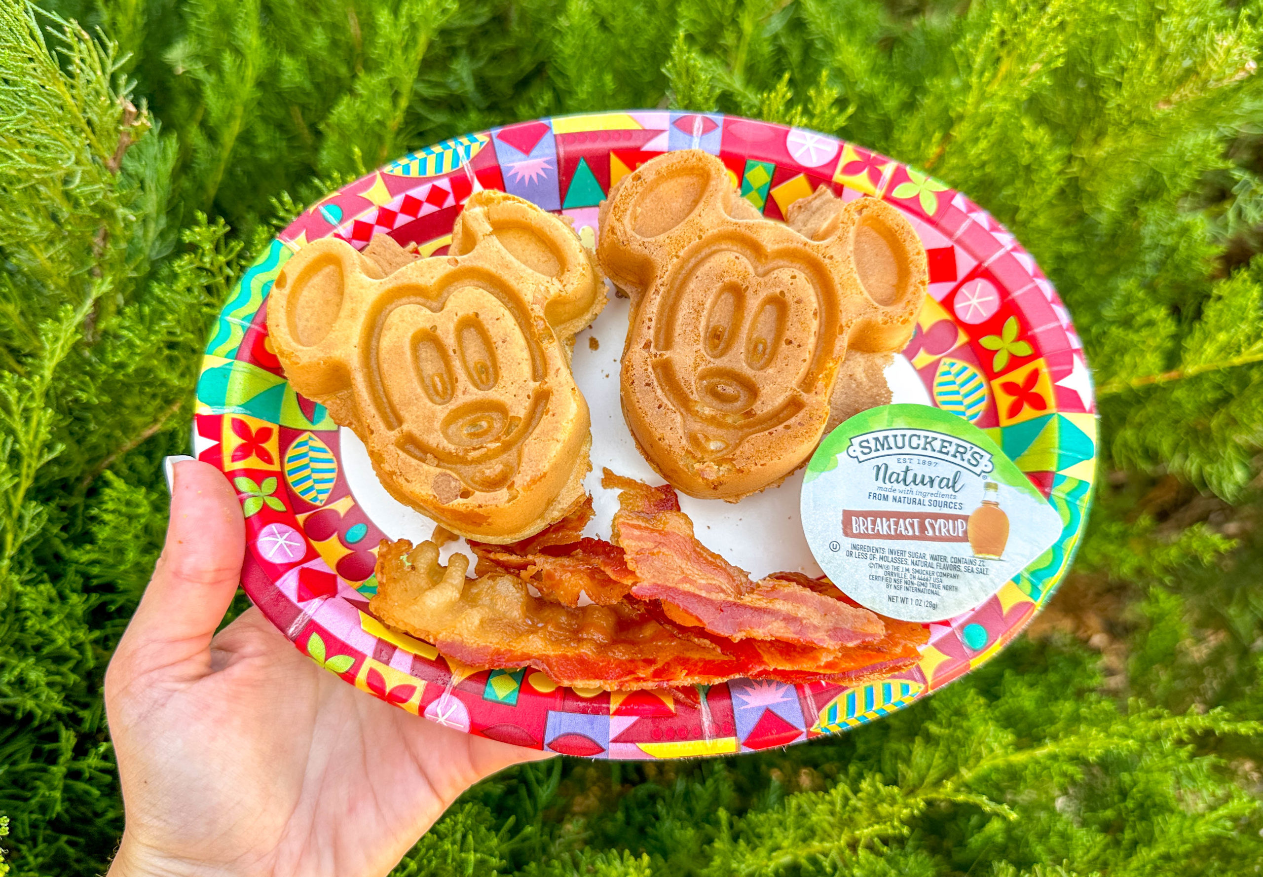 Hearty Breakfast - Mickey Waffles from All Star Movies 