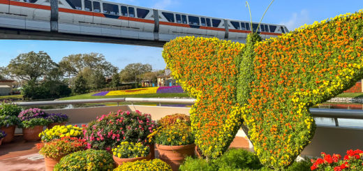 Butterfly Topiary in EPCOT