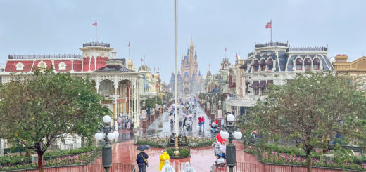 Disney World in the rain