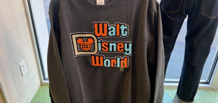 Disney World Sweater