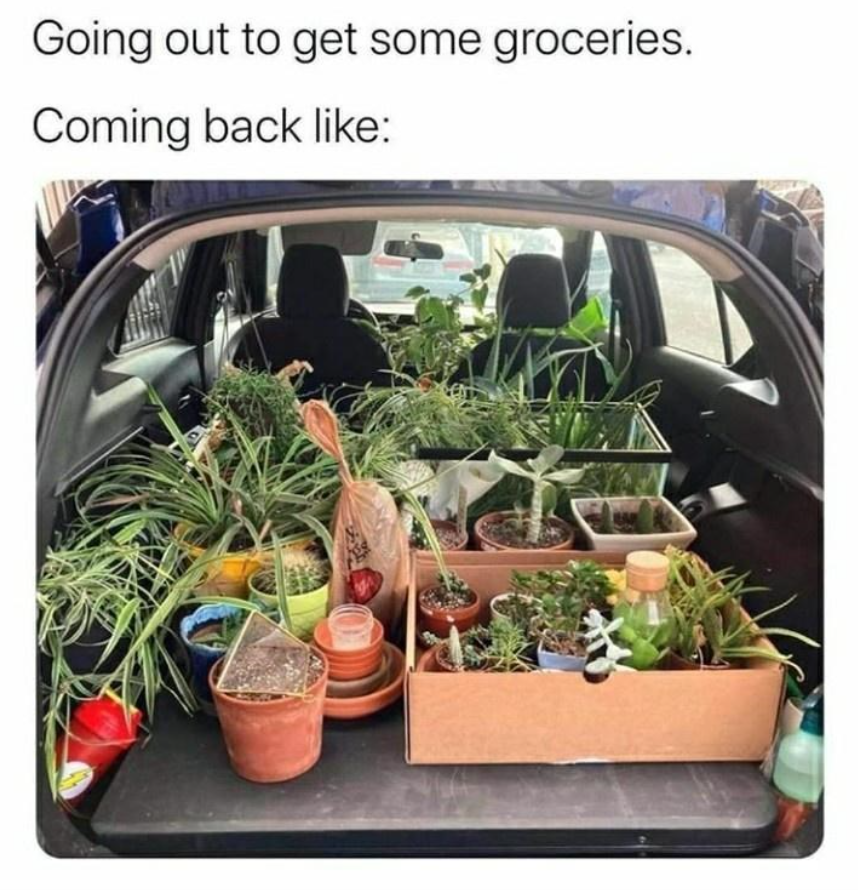 Planters and Plants Meme Groceries