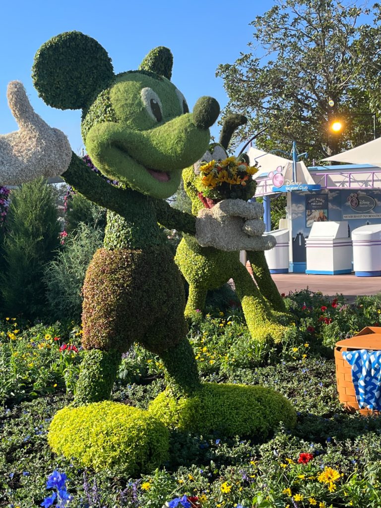 Topiary Mickey Mouse