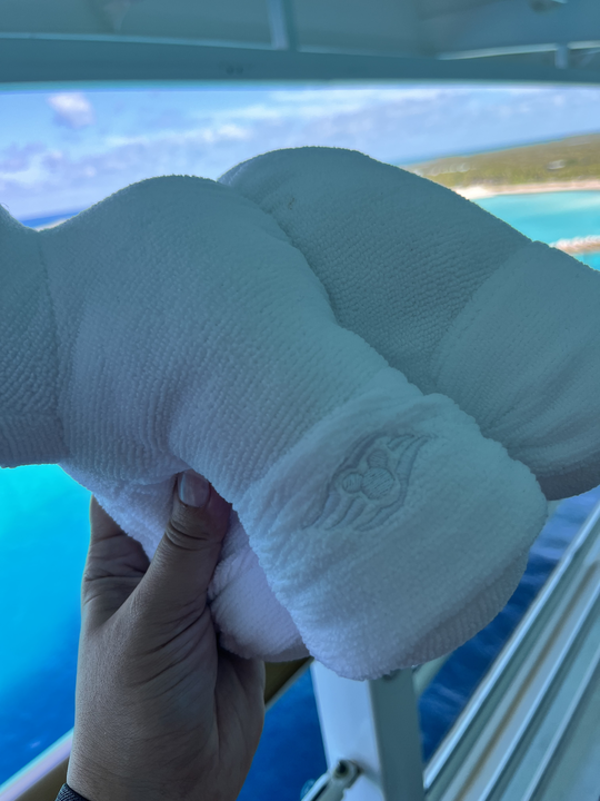 dcl towel plushes