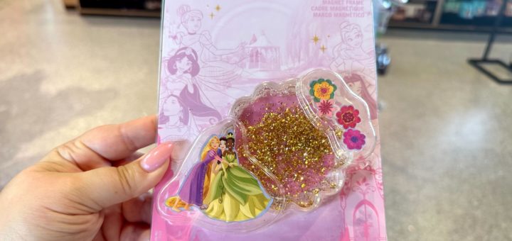 Disney Princess Photo Frame Magnet