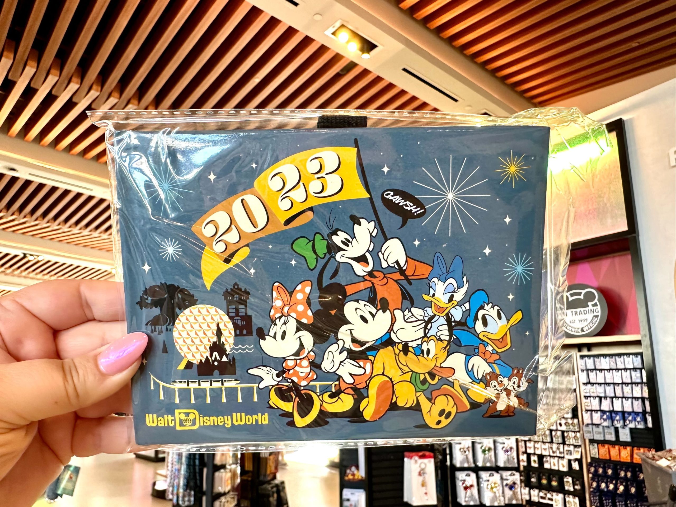 You Will Be Making Memories With This 2023 Walt Disney World Autograph
