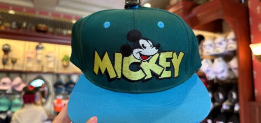 Mickey and Co hat Walt Disney World