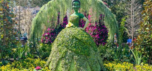 Princess Tiana Topiary